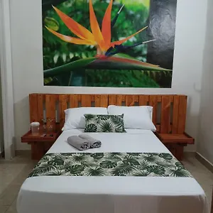 Guest house El Jardin, Envigado